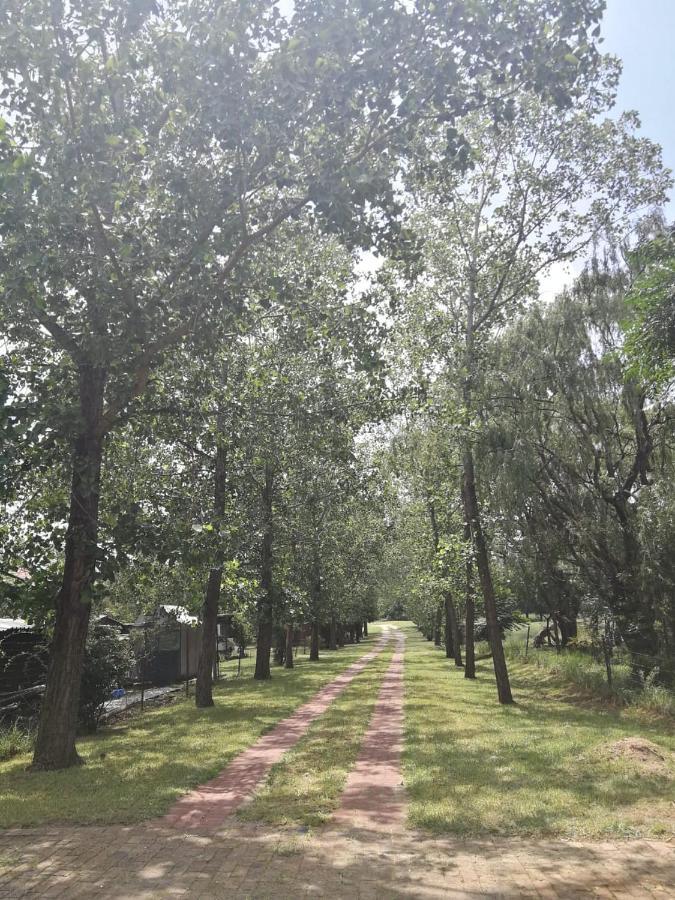 Weeping Willow 米德兰 外观 照片